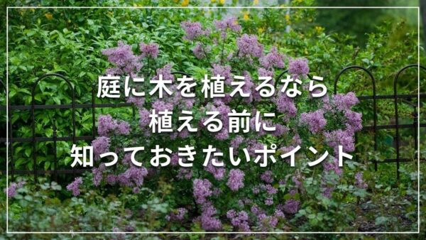 庭に木を植えるなら 植える前に知っておきたいポイント