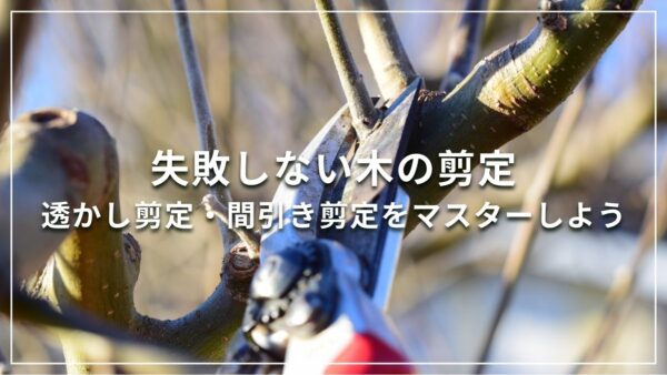 失敗しない木の剪定 透かし剪定・間引き剪定をマスターしよう