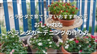 ベランダで育てやすいおすすめの花 おしゃれなベランダガーデニングの作り方