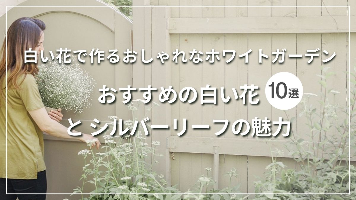 白い花でホワイトガーデンを作ろう