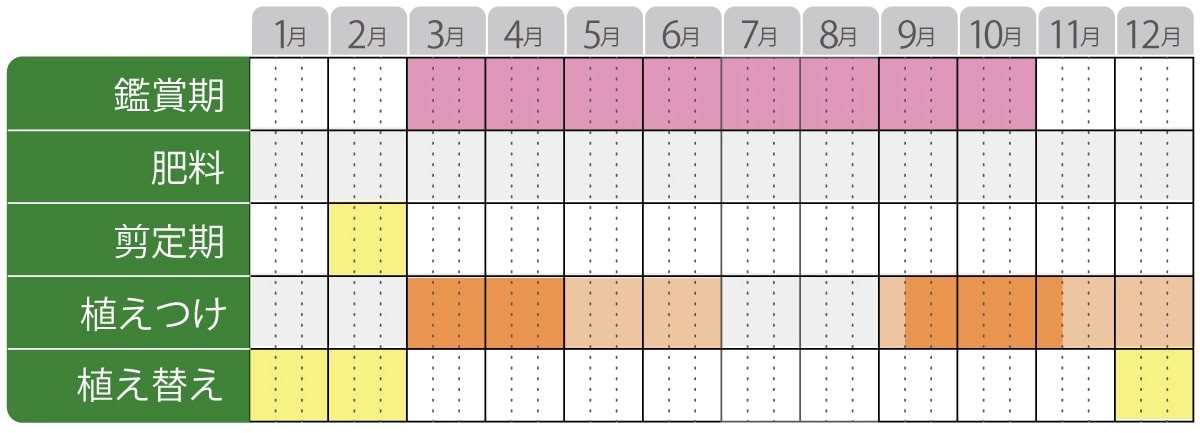 バーべリス サンジョイネオの栽培カレンダー
