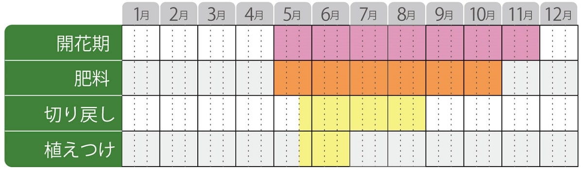 カリロファスの栽培カレンダー