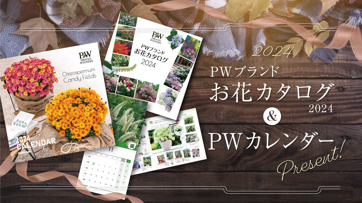 2024年お花カタログ＆カレンダープレゼントキャンペーン