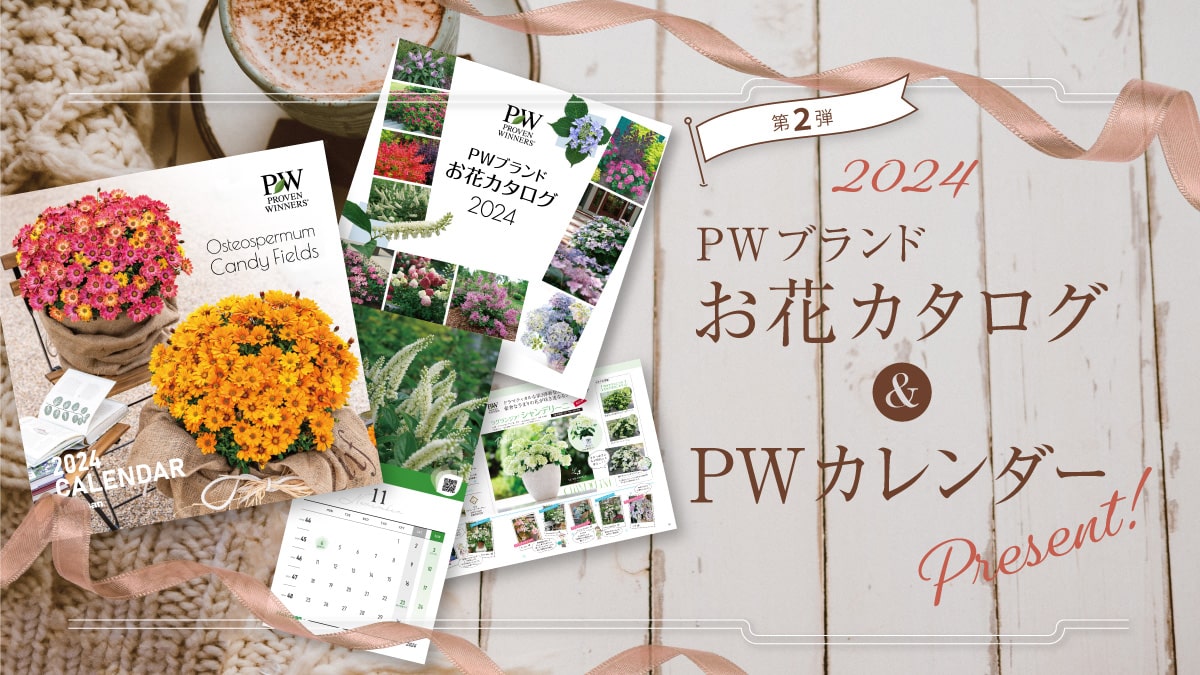 2024年PWカタログ＆カレンダーキャンペーン【第2弾】