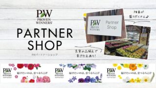 PWパートナーショップ