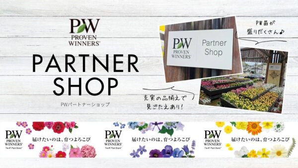 PWパートナーショップ