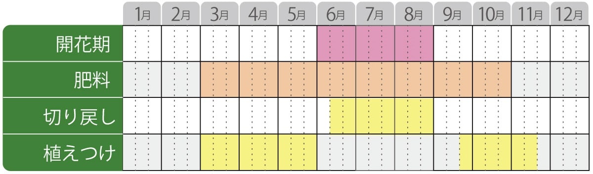 モナルダ フォーグの栽培カレンダー