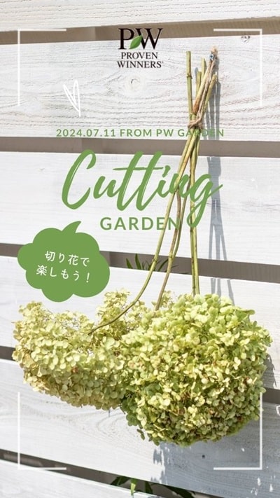 PW切り花レシピ | PROVEN WINNERS (PW)【植物の国際ブランド】