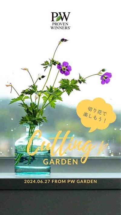 柘植　切花 wanohanatoha.jpg