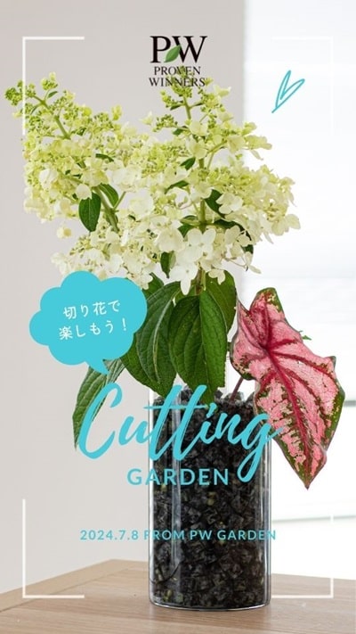 PW切り花レシピ | PROVEN WINNERS (PW)【植物の国際ブランド】