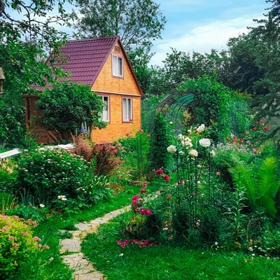 ナチュラルガーデンに植えたい宿根草