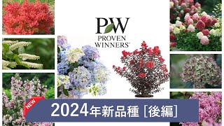 2024年新品種後編