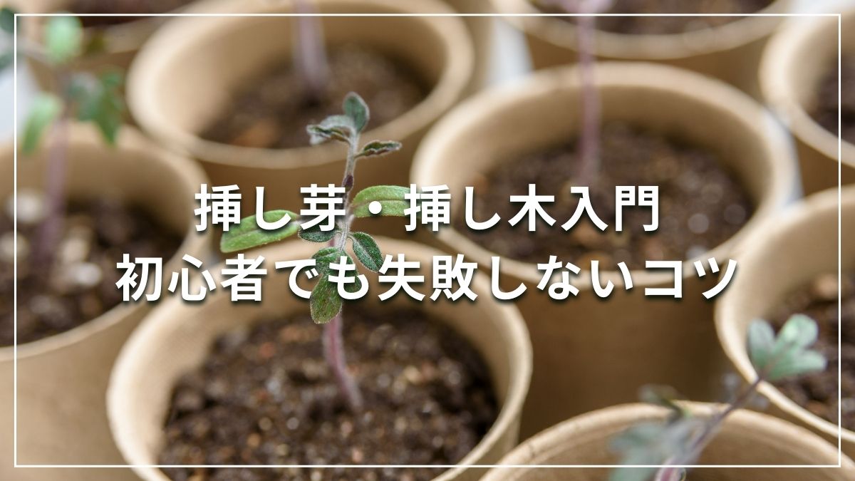 挿し芽挿し木入門
