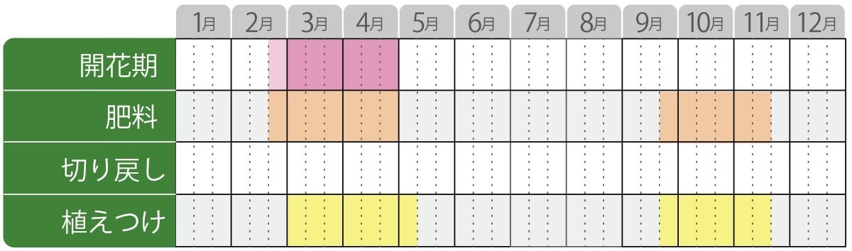 プルモナリアの栽培カレンダー
