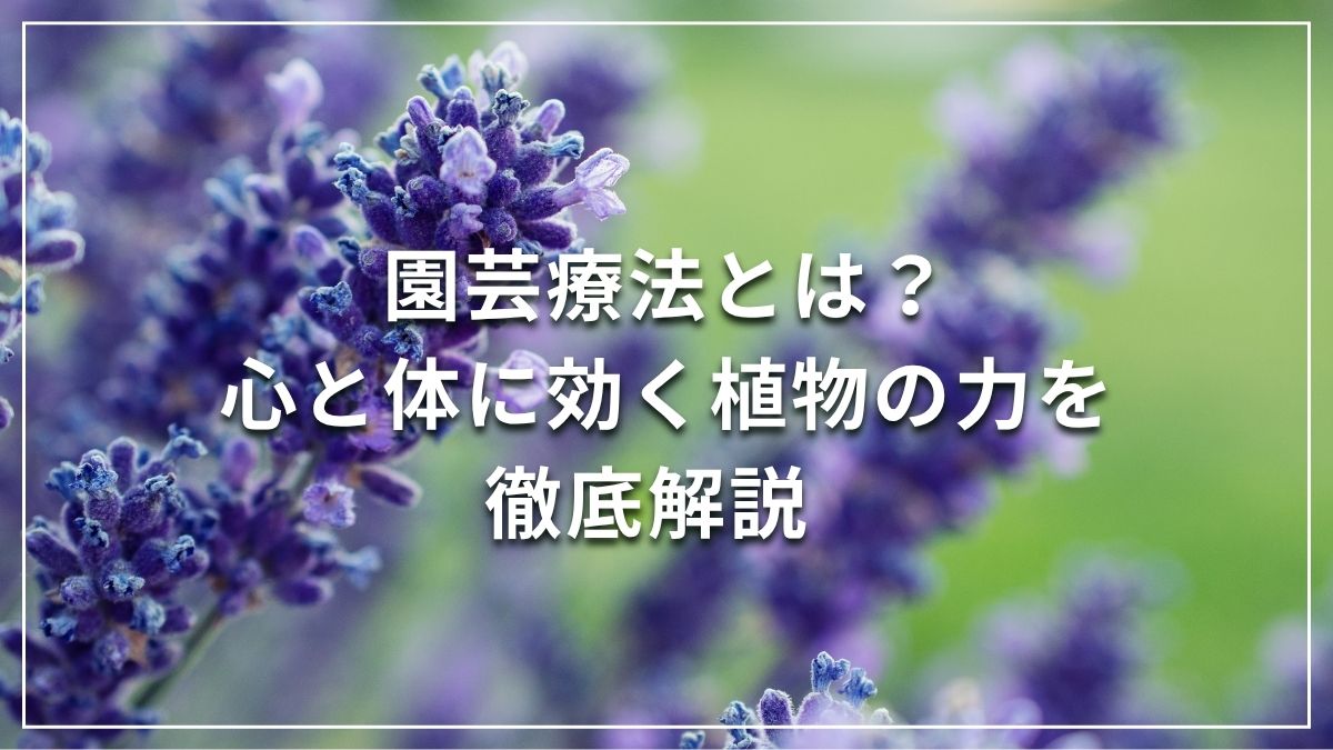 園芸療法とは？心と体に効く植物の力