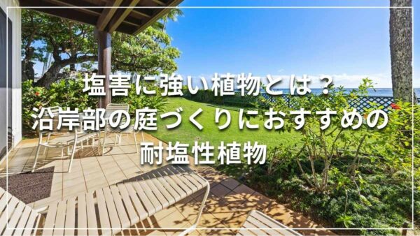 塩害に強い植物とは？沿岸部の庭づくりにおすすめの耐塩性植物