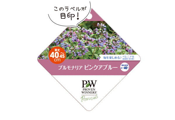 プルモナリアラベル