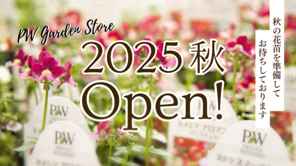 2025年 秋 PWガーデンストアOPENのお知らせ | PROVEN WINNERS (PW