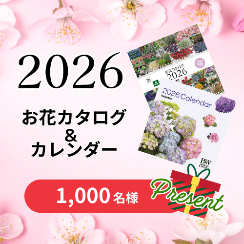 2026年カタログ＆カレンダー プレゼントキャンペーン