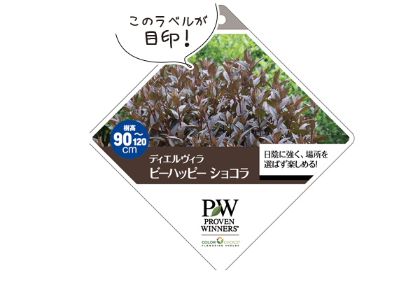 ディエルビララベル