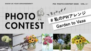 PWフォトコン
