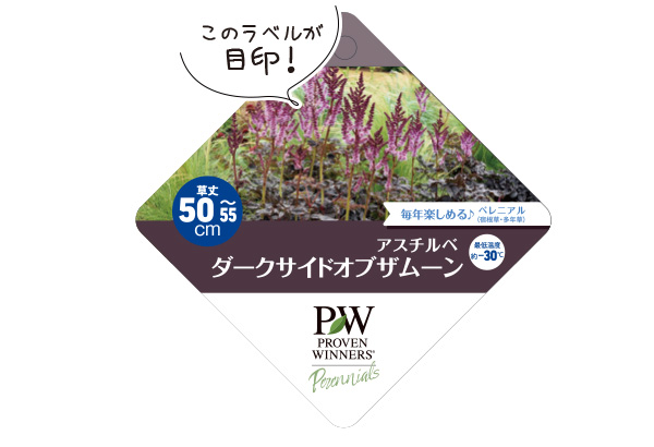 アスチルベ ダークサイドオブザムーンラベル