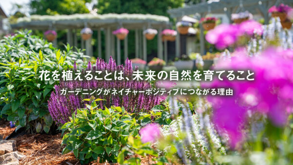 花を植えることは、未来の自然を育てること（ネイチャーポジティブ）